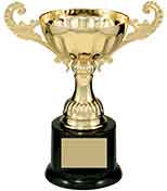 Gold Metal Cup Trophy