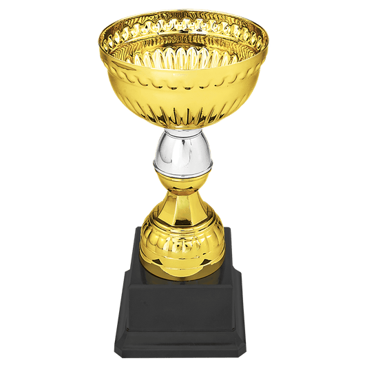 Gold/Silver Metal Cup Trophy