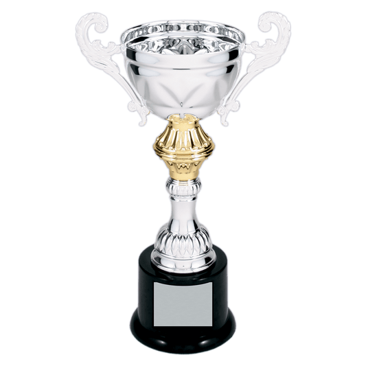 Silver/Gold Metal Cup Trophy
