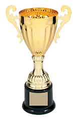 Gold Metal Cup Trophy