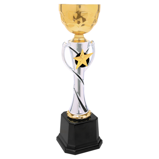 Gold/Silver Metal Cup Trophy