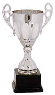 Silver Metal Cup Trophy