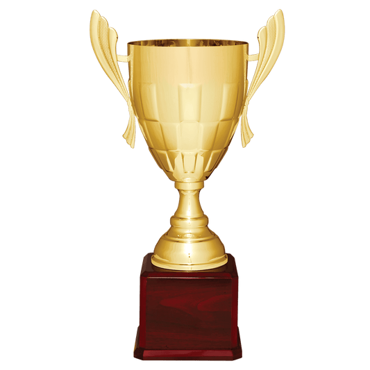 Gold Metal Cup Trophy on Rosewood Piano Finish Base