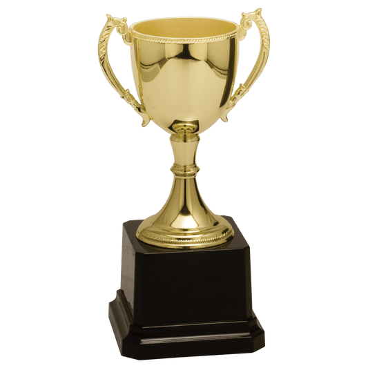 Gold Zinc Cup Trophy