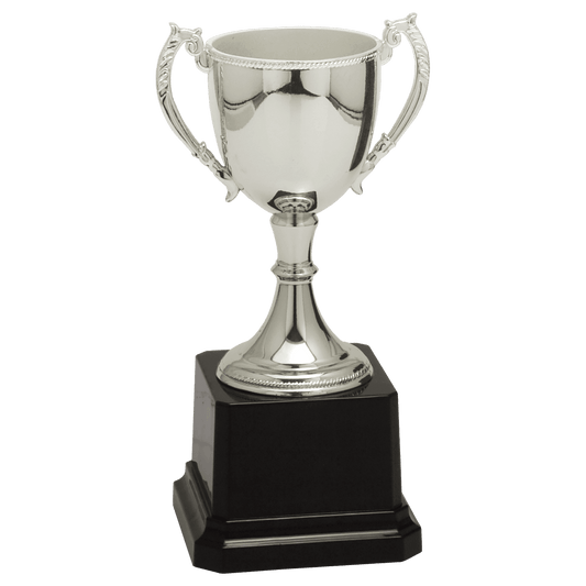 Silver Zinc Cup Trophy