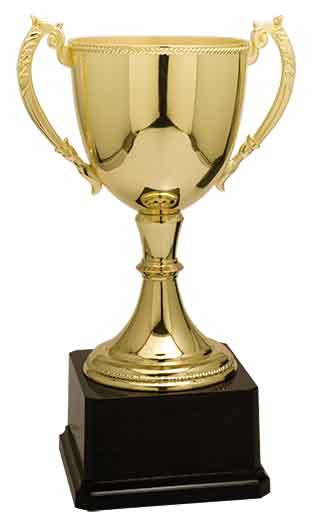 Gold Zinc Cup Trophy