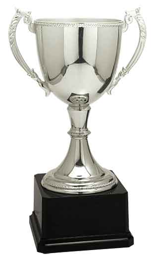 Silver Zinc Cup Trophy