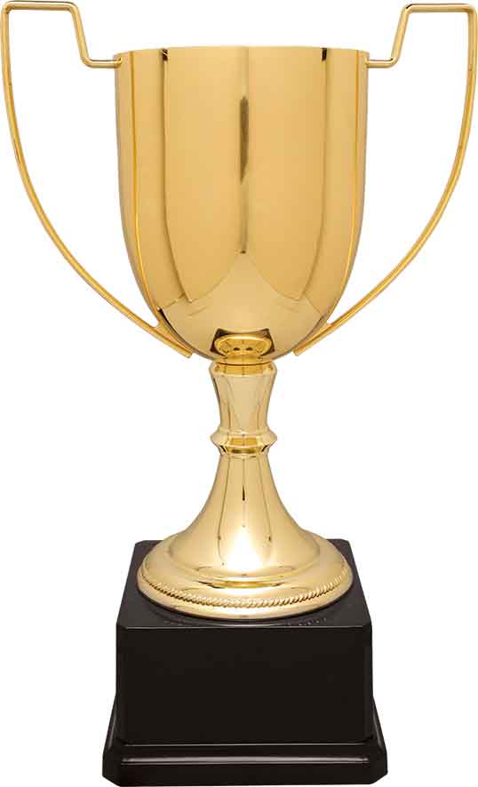 Gold Zinc Cup Trophy