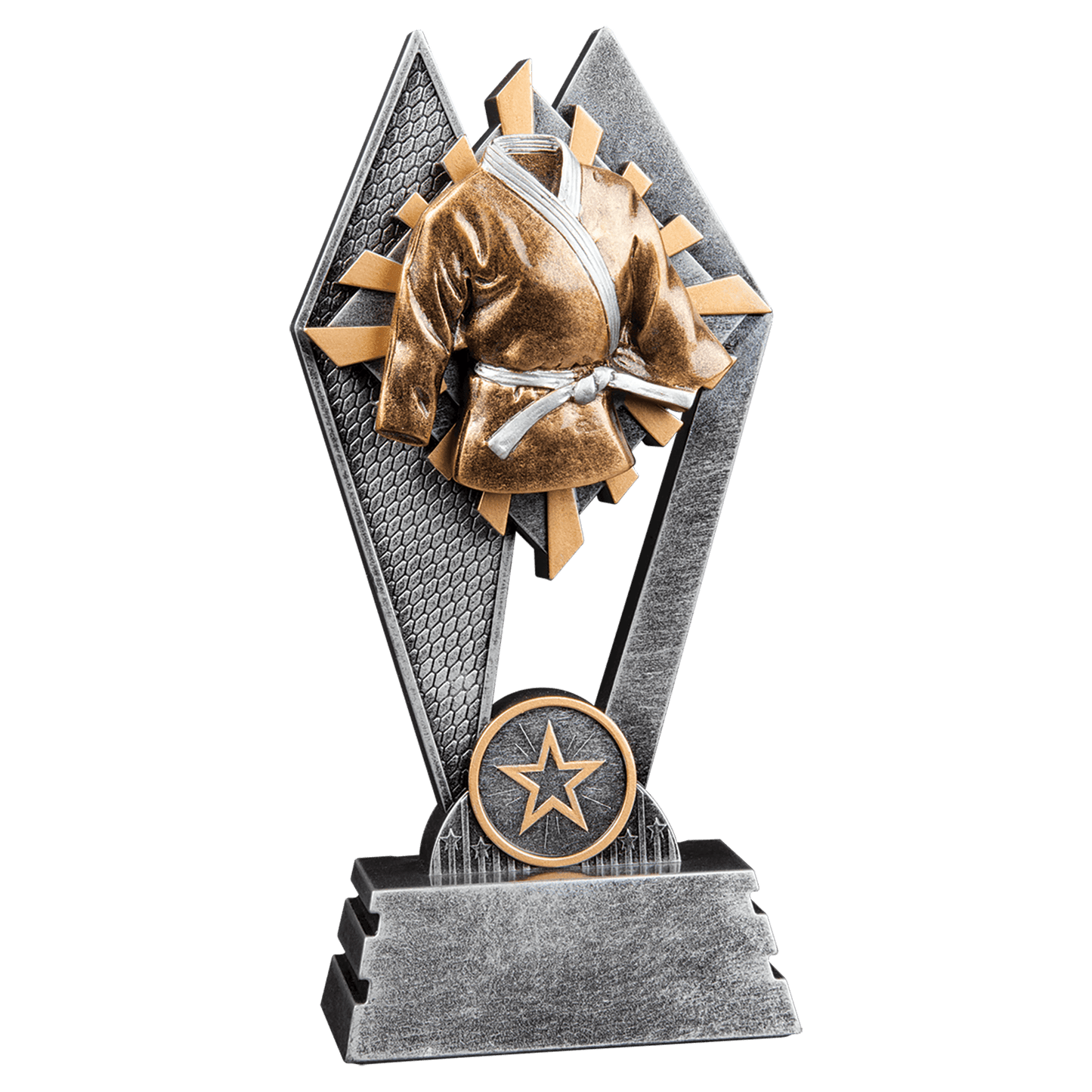 Sun Ray Martial Arts Resin Award