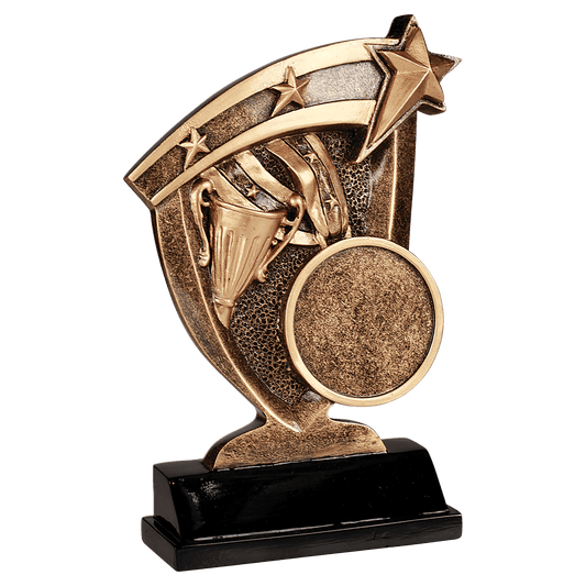 Broadcast Insert Holder Resin Award