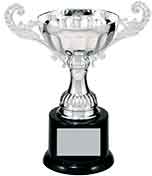 Silver Metal Cup Trophy