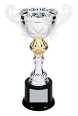 Silver/Gold Metal Cup Trophy