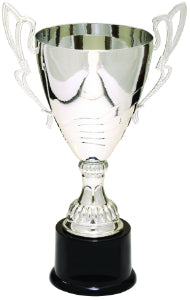 Silver Metal Cup Trophy