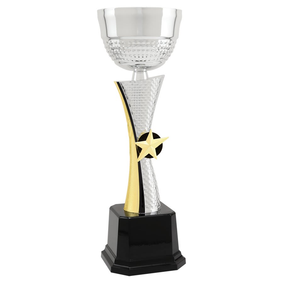 Silver/Gold Metal Cup Trophy