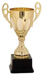 Gold Metal Cup Trophy