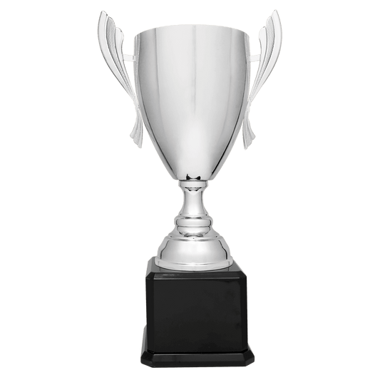 Silver Metal Cup Trophy on Black Piano Finish Base