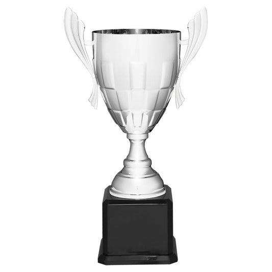 Silver Metal Cup Trophy on Black Piano Finish Base
