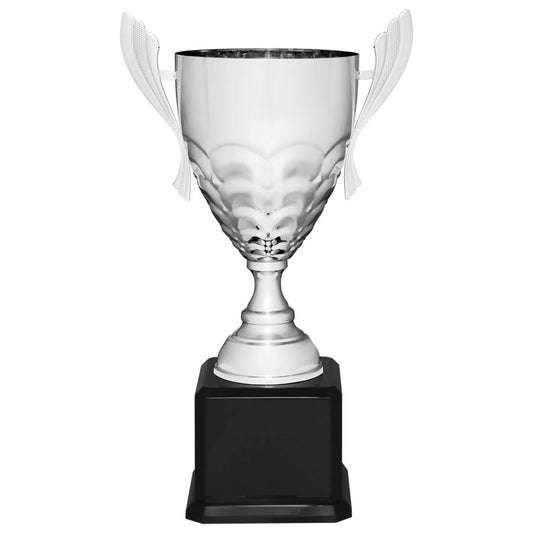 Silver Metal Cup Trophy on Black Piano Finish Base