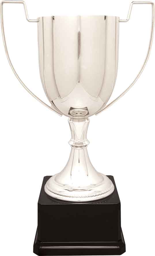 Silver Zinc Cup Trophy