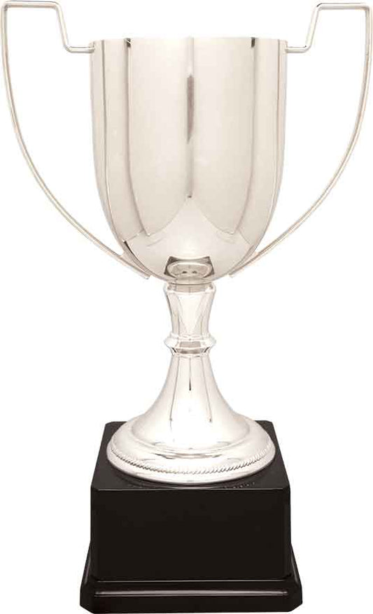Silver Zinc Cup Trophy