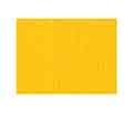 7/8" Yellow Neck Ribbon